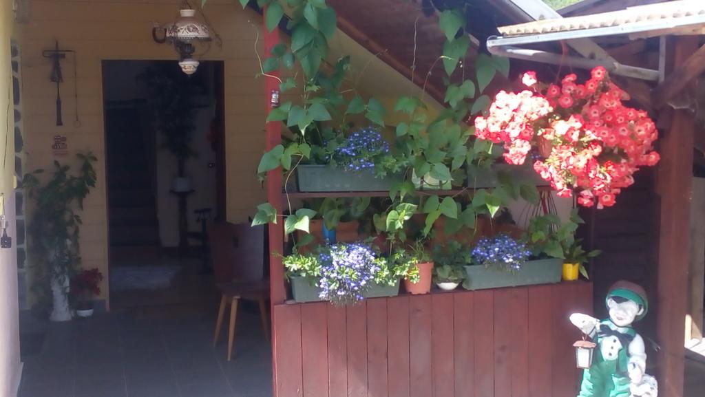 U Tri Kocek Hotell Jablonné v Podještědí Exteriör bild
